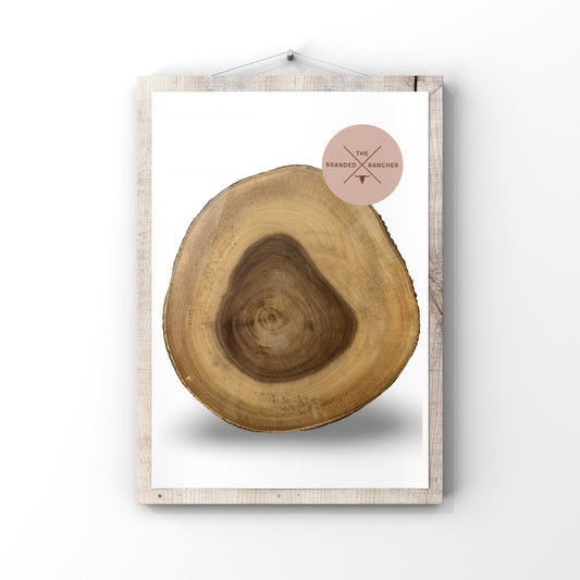 Serving Board, Live Edge Wood Round